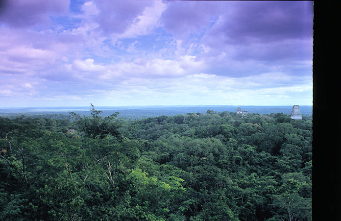 Mittelamerika 1993 1994-02-068.jpg